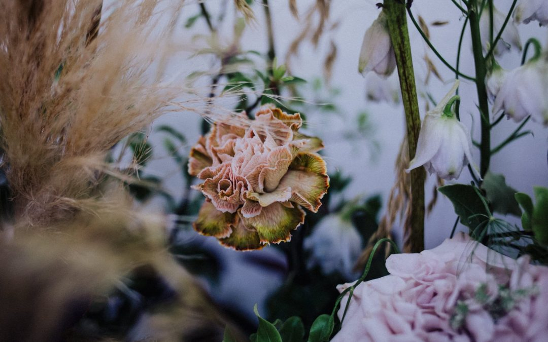 Dove & Myrtle: wild and romantic wedding flowers in Sussex.